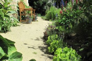 Bylinková zahrada - cesta